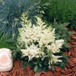White B42.02 нет в наличии